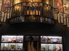 -雪灵魔法世界SHELLY’S TAROT(大良桂畔里店)