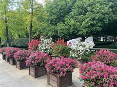 -杭州城北体育公园