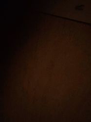 -罗亚帝造型·烫发染发