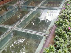 -北京路步行街-千年古道遗址