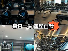 -国芳中心
