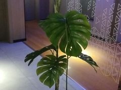 -钧熙良品·足道spa(曹山路纯水岸店)