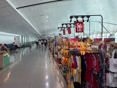 -胡志明新山一国际机场