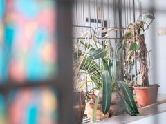 -郑厨私房菜