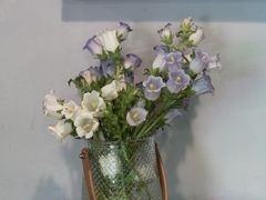 -蓝壁虎咖啡酒馆