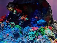 -中国湿地博物馆