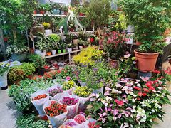 -双季花艺园艺市场(浦东店)