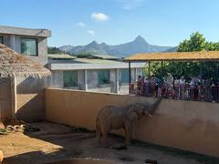 -西霞口神雕山野生动物世界