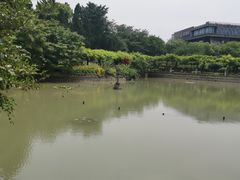 -嘉定紫藤园