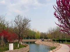 -绿岛公园(滨海新区)
