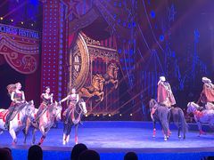 -珠海横琴长隆《卡卡虎奇遇记》