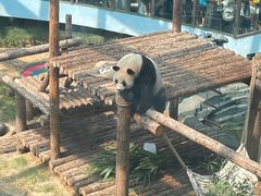 -大连森林动物园