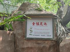 -泉眼温泉