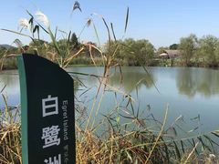-长兴太湖图影湿地文化园