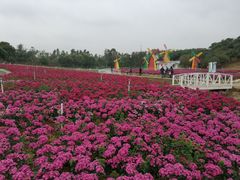 -松山湖梦幻百花洲