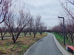 -东郊湿地公园