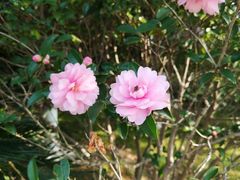 -艾溪湖湿地公园