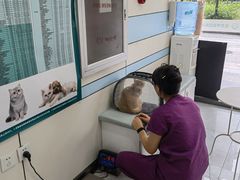 -中农国际动物医院24小时·猫科·骨科·急重症中心