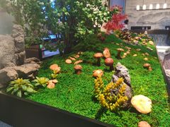 -外滩·云南人家(昆明旗舰店)