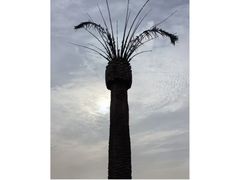 -上海月湖雕塑公园