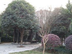 -双拥公园