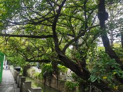 -三坊七巷历史文化街区