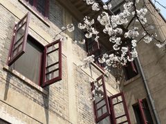 -武汉大学-樱园
