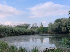 -溱湖国家湿地公园