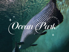-上海海洋水族馆