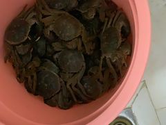 -新农都水产市场