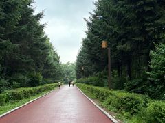 -长春市南湖公园