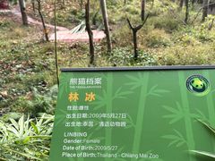 -中国大熊猫保护研究中心雅安碧峰峡基地