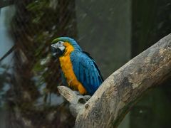 -大连森林动物园