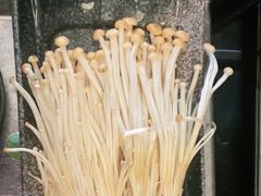 -重庆九记老火锅(广场店)