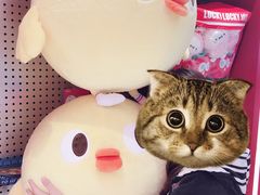 -LLJ夹机占(正佳广场店)
