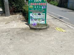 -马陆小张葡萄园农家乐