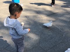 -无锡动物园·太湖欢乐园