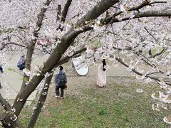 -苏州上方山国家森林公园