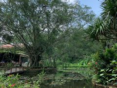 -海南热带野生动植物园
