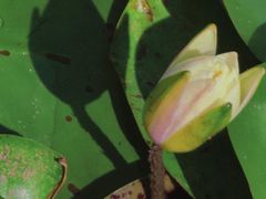 -白鹭湾湿地公园