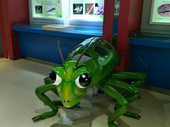 -上海昆虫博物馆