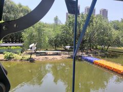 -长白岛森林公园