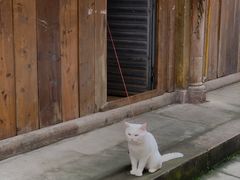 -海窝子古镇