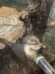 -Zoolung Zoolung动物主题公园(海信广场店)