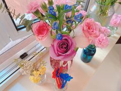 -曲阳花鸟市场(曲阳路店)