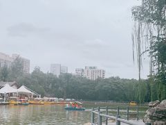 -莲湖公园