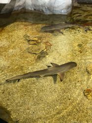 -Zoolung Zoolung动物主题公园(海信广场店)