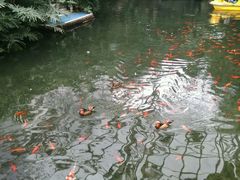 -魏家凉皮(翟营南大街店)