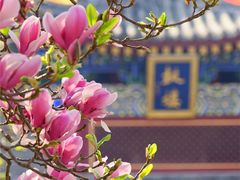 -西安市广仁寺