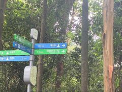-火炉山森林公园